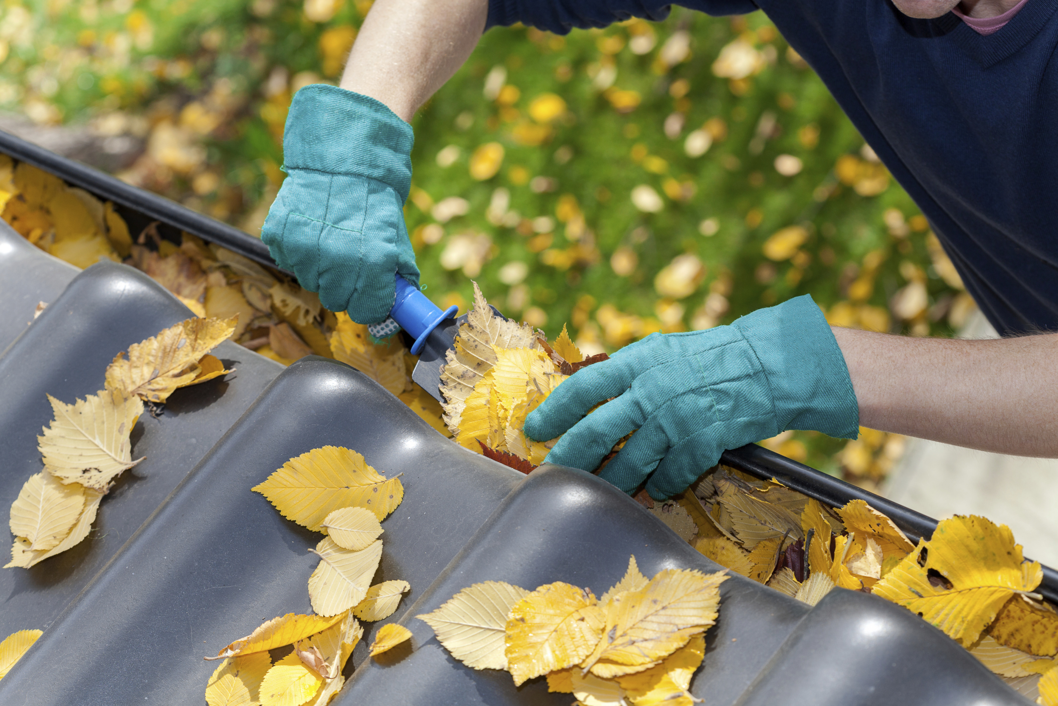 Cleaning gutters from leaves