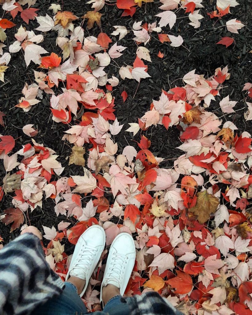 feet in leaves