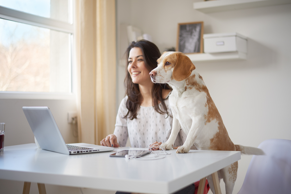 a woman working at her desk with her dog