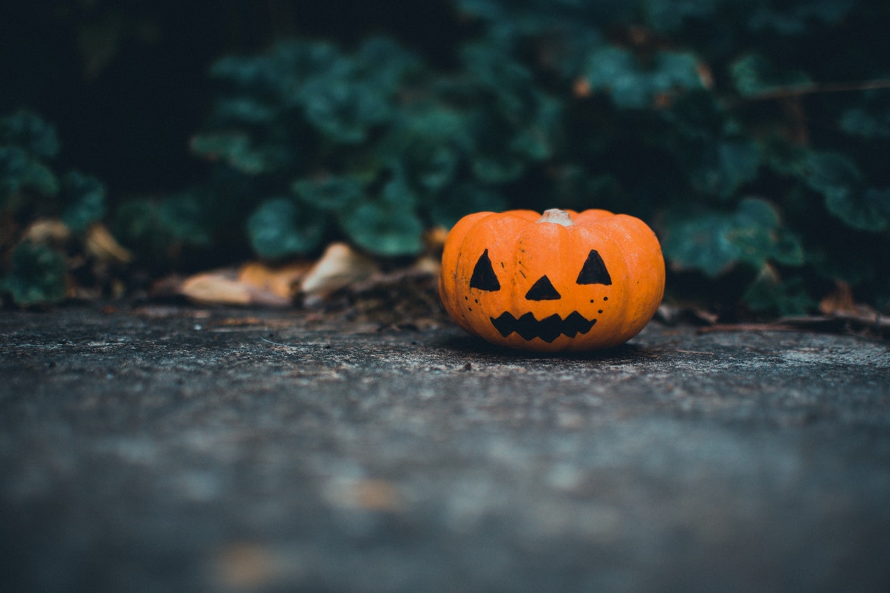 a pumpkin on Halloween