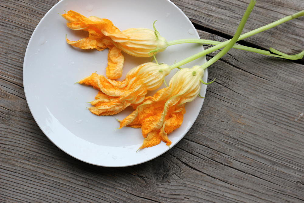 a plate of squash blossoms | spring recipes