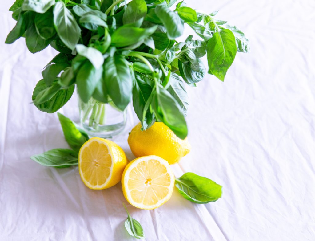 basil and lemon | tips for growing summer herbs indoors