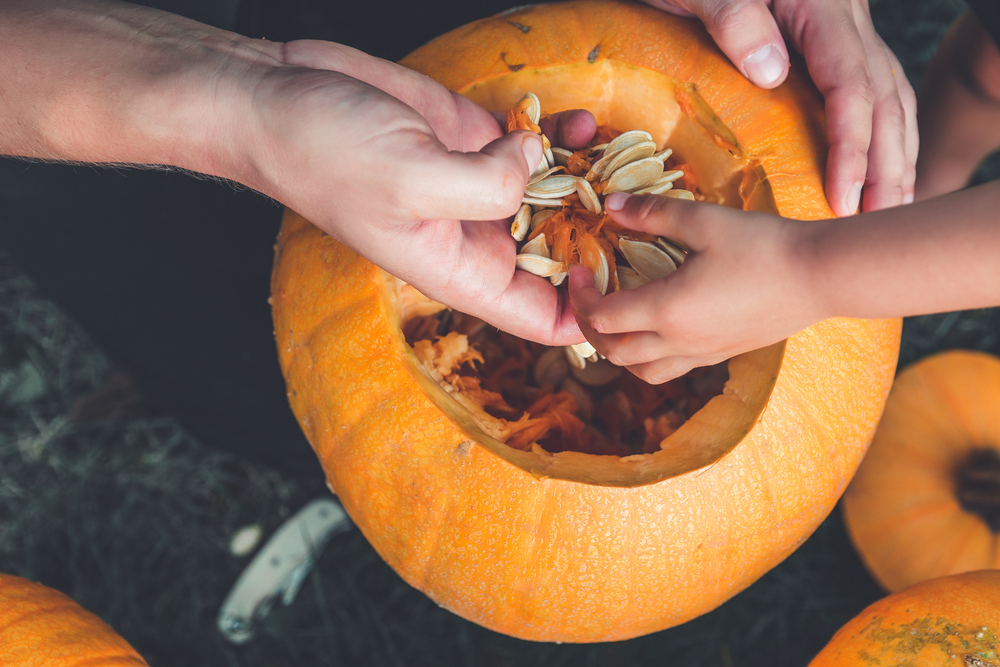picking seeds out of a pumpkin | unique pumpkin carving ideas