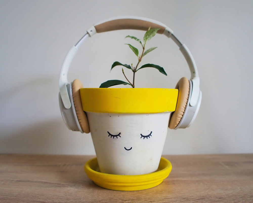 a plant listening to music