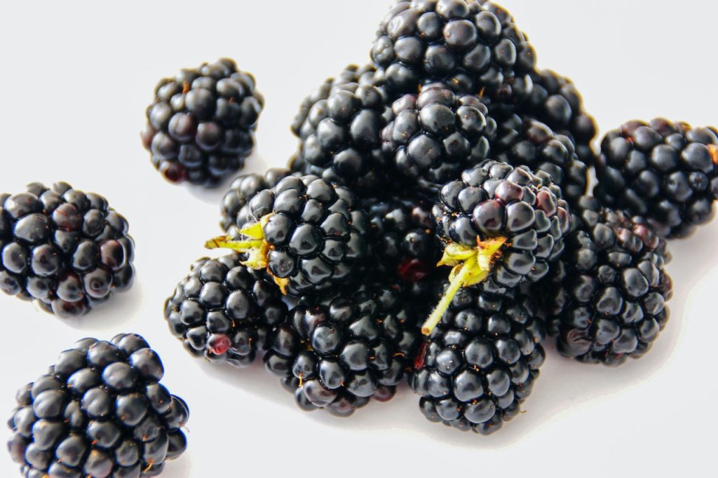 blackberries | fall drinks