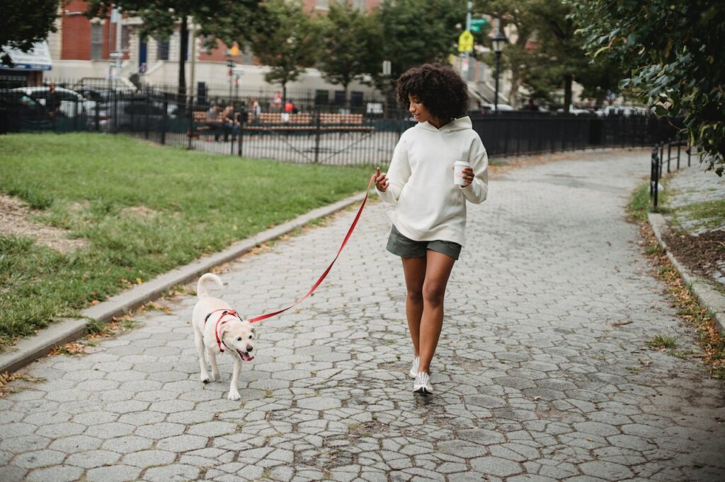 going for a walk with a dog | energizing morning activities
